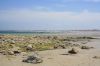 thumb_img_1372.jpg