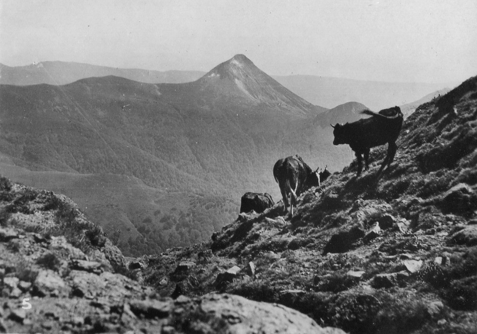 PuyGriou