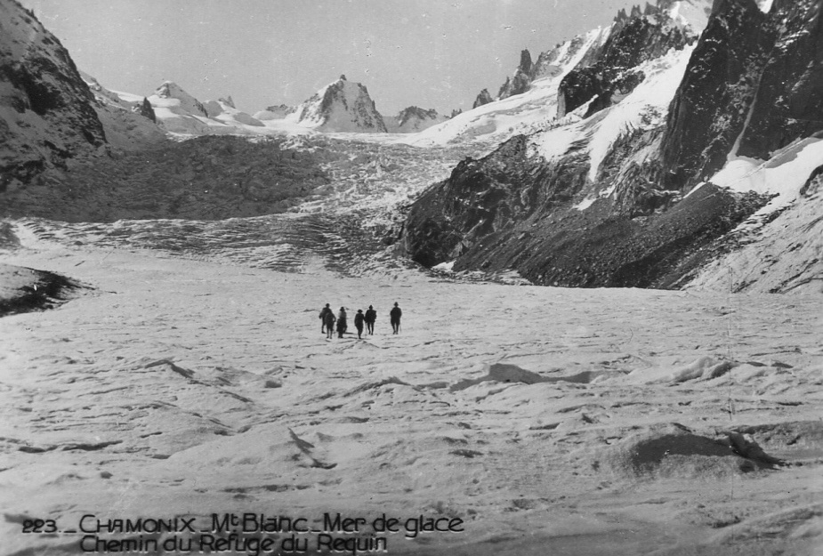 MerGlace11