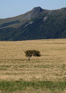 cliquez ici pour voir l'image (Banne-Ordanche.JPG)