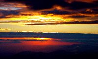 cliquez ici pour voir l'image (36.jpg)