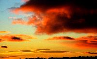 cliquez ici pour voir l'image (48.jpg)