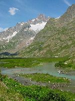 cliquez ici pour voir l'image (lac-combal2.jpg)