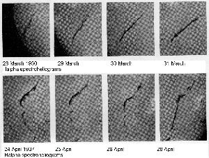 cliquez ici pour voir l'image (fig09.jpg)