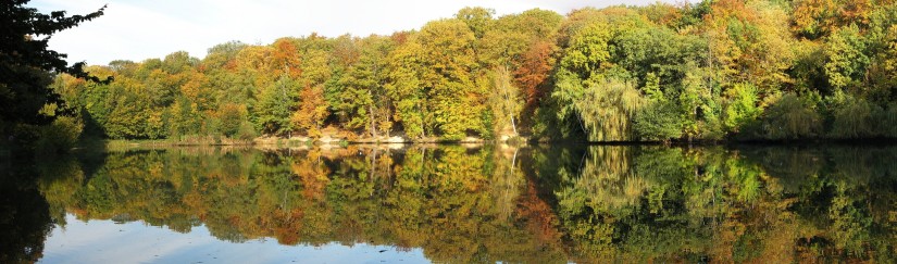 cliquez ici pour voir l'image (Etang-Meudon1.JPG)