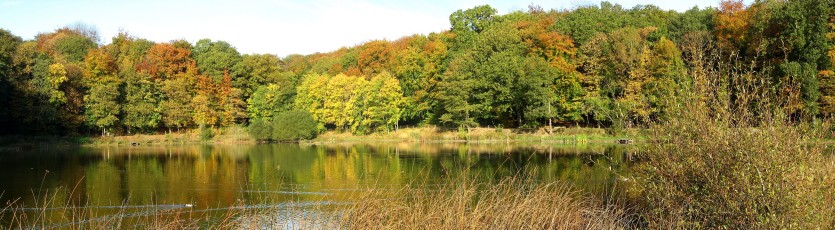 cliquez ici pour voir l'image (Etang-Meudon2.JPG)