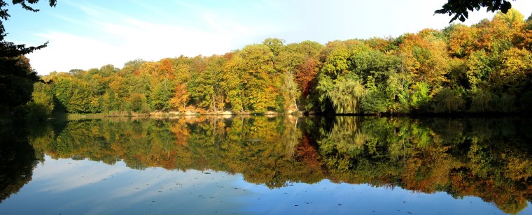 cliquez ici pour voir l'image (Etang-Meudon4.JPG)