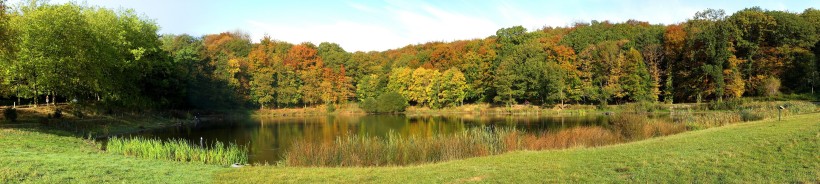 cliquez ici pour voir l'image (Etang-Meudon5.JPG)