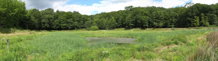 cliquez ici pour voir l'image (Etang.JPG)