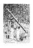 Cliquez ici pour voir l'image (1892_105.gif)