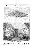 Cliquez ici pour voir l'image (1897_280.gif)