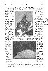 Cliquez ici pour voir l'image (1905_369.gif)