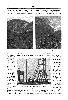 Cliquez ici pour voir l'image (1904_344.gif)