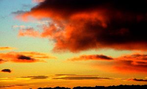 cliquez ici pour voir l'image (48.jpg)