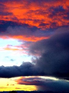 cliquez ici pour voir l'image (56.jpg)