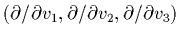 $
(\partial/\partial v_{1},\partial/\partial v_{2},
\partial/\partial v_{3})$