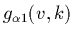 $g_{\alpha 1}(v,k)$